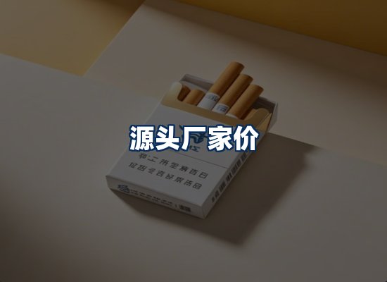 专业团队办公环境